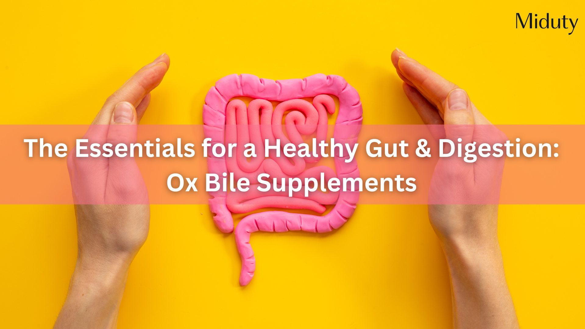Ox Bile Salt Supplements & Ox Bile Benefits
