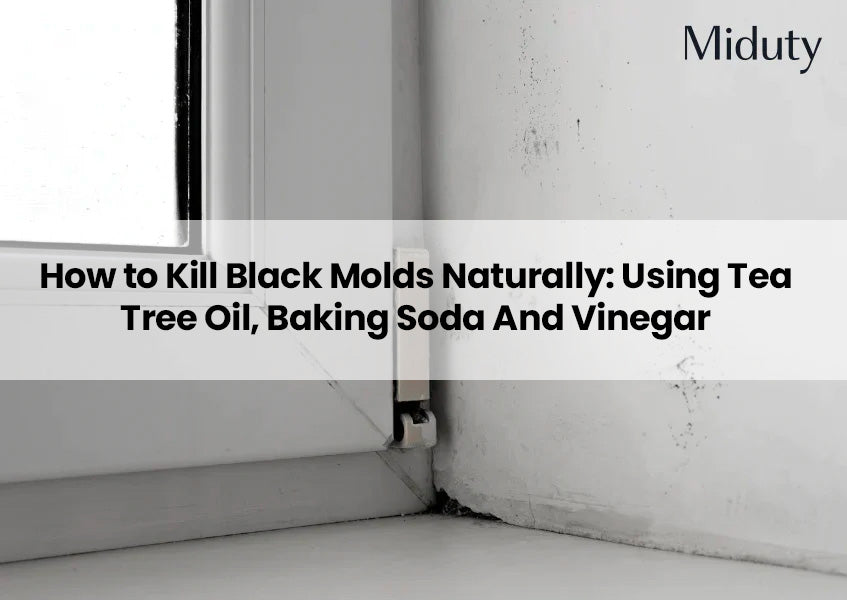How to Kill Black Molds Using Natural Methods