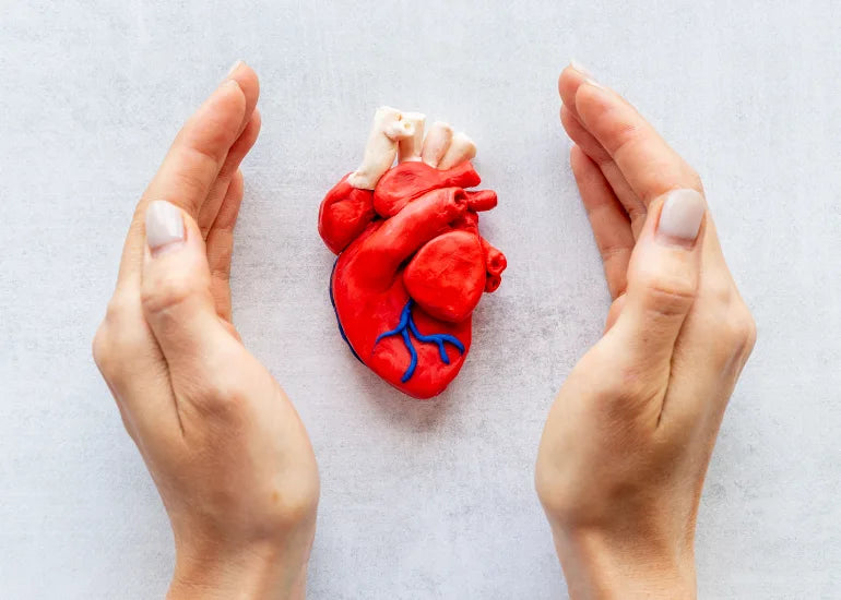 Is Magnesium Good for Your Heart Health: The Connection Between Magnesium and Heart