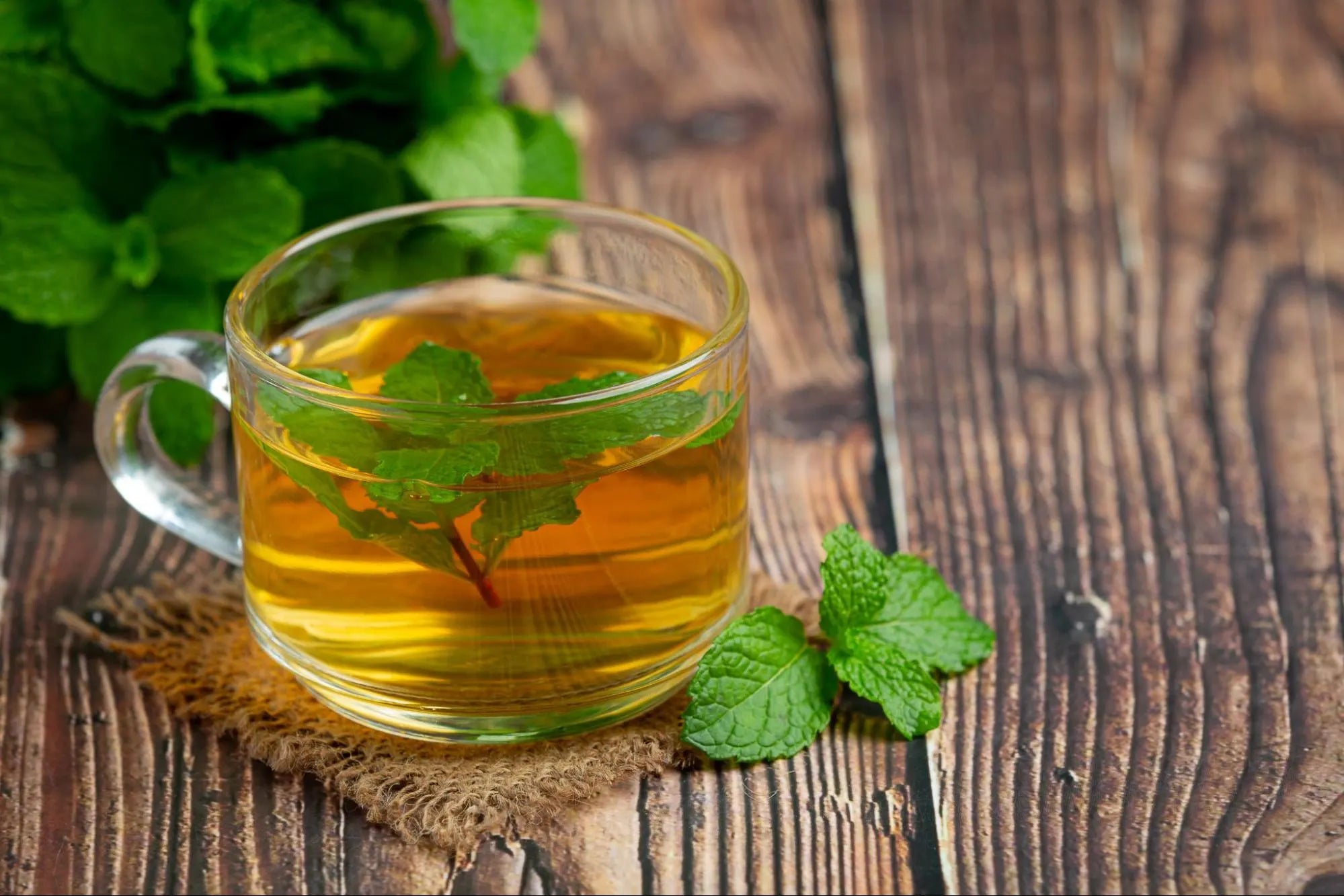 Tulsi Ginger Kadha