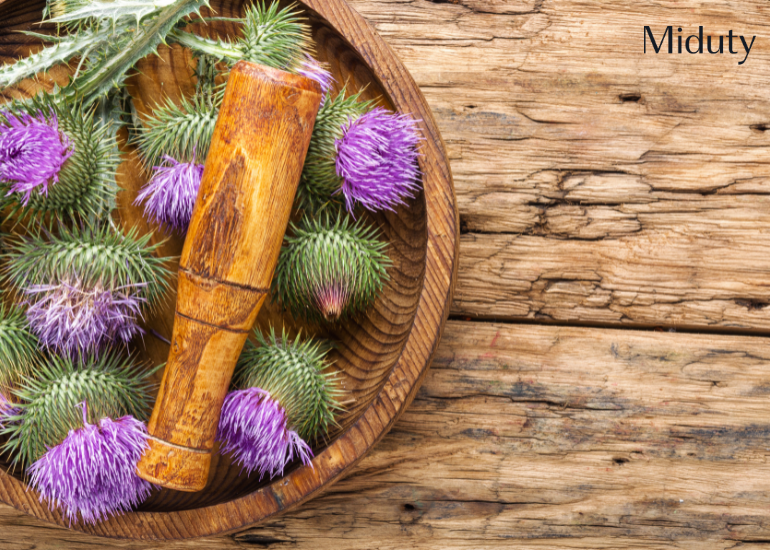 Milk Thistle For Reversing Fatty Liver