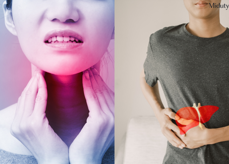 Understanding the Link Between Hypothyroidism and Liver Dysfunction