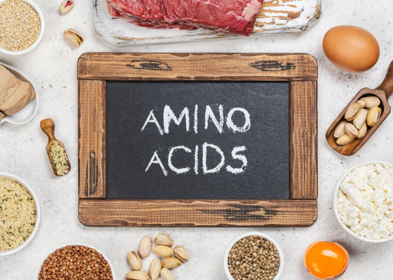 A Comprehensive Guide on Amino Acids