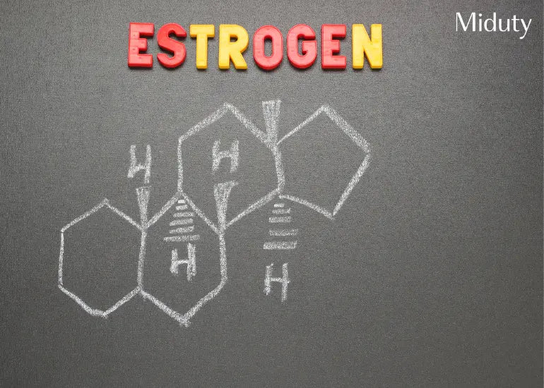 Signs and Symptoms of High Estrogen in Males and Females