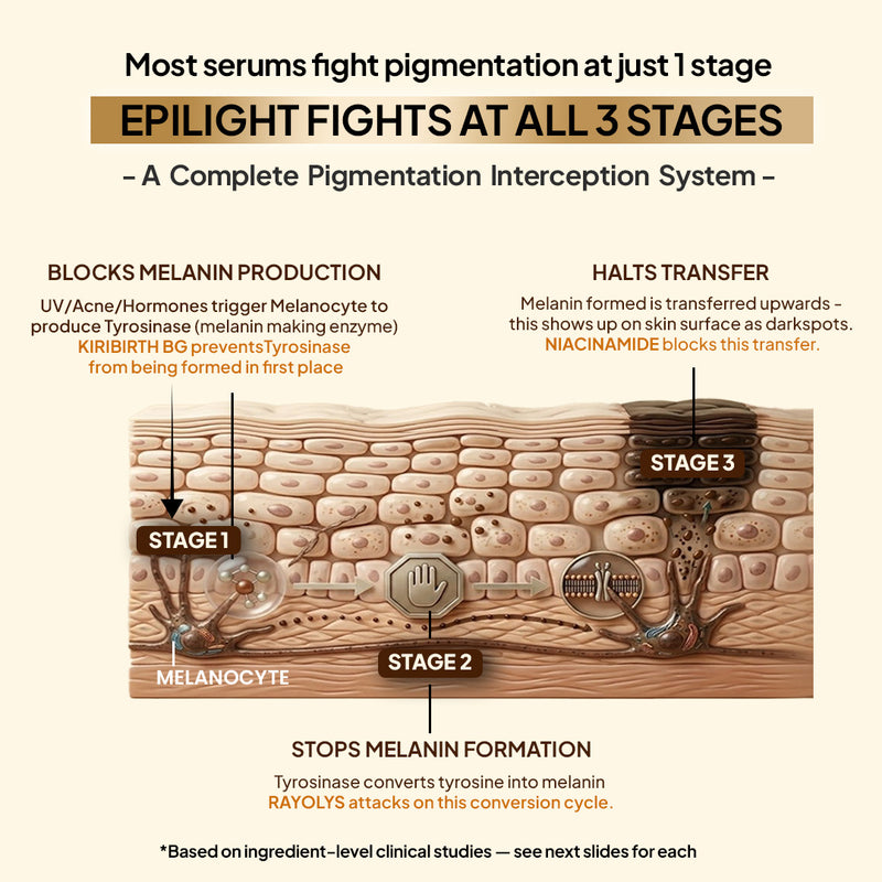 Most erum fight pigmentation at just 1 stage, EPILIGHT fights at all 3 stages - Blocks elanin Production, Stops Melanin Formation, Halts Transfer