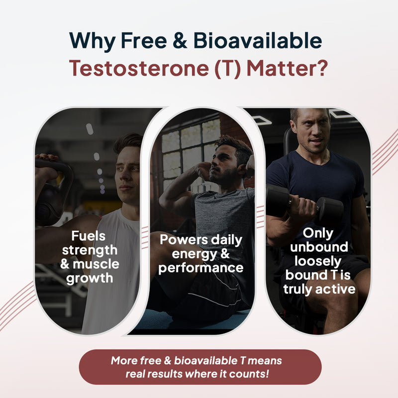 Why Bioavailable Testosterone (T) Matter?