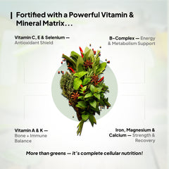 What Vitamins and Minerals Does Miduty Supergreens Powder Contain?-main