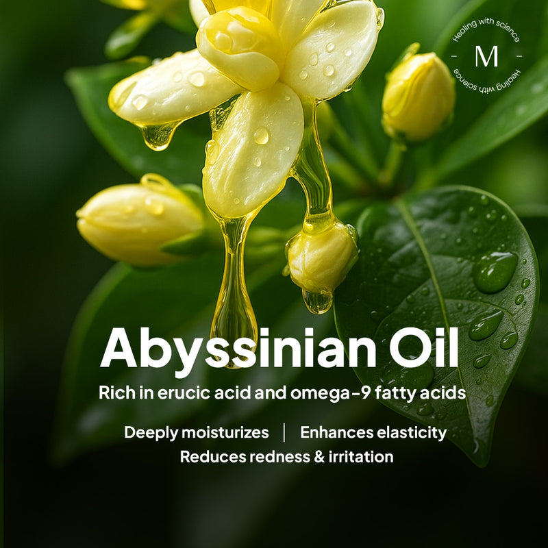 Royal Jelly Cleansing Balm | Gentle Cleanser for Morning & Evening | Melts Makeup & Impurities for Deep Pore Cleansing