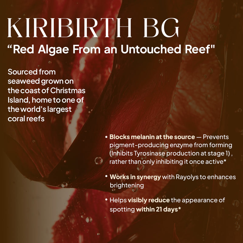 KIRIBIRTH BG - Red Algae from an untouched reef