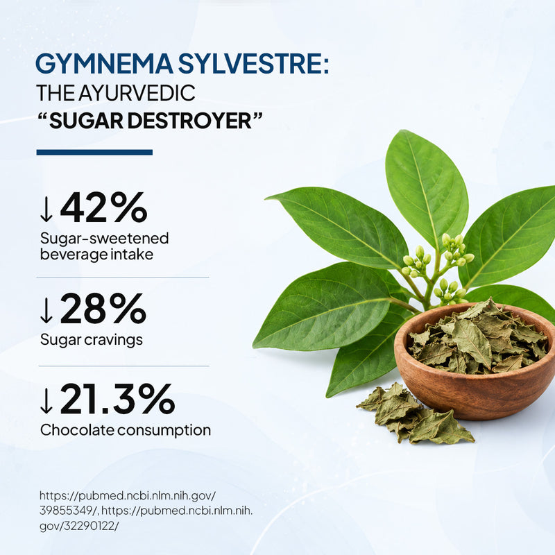 BERBERINE 98%