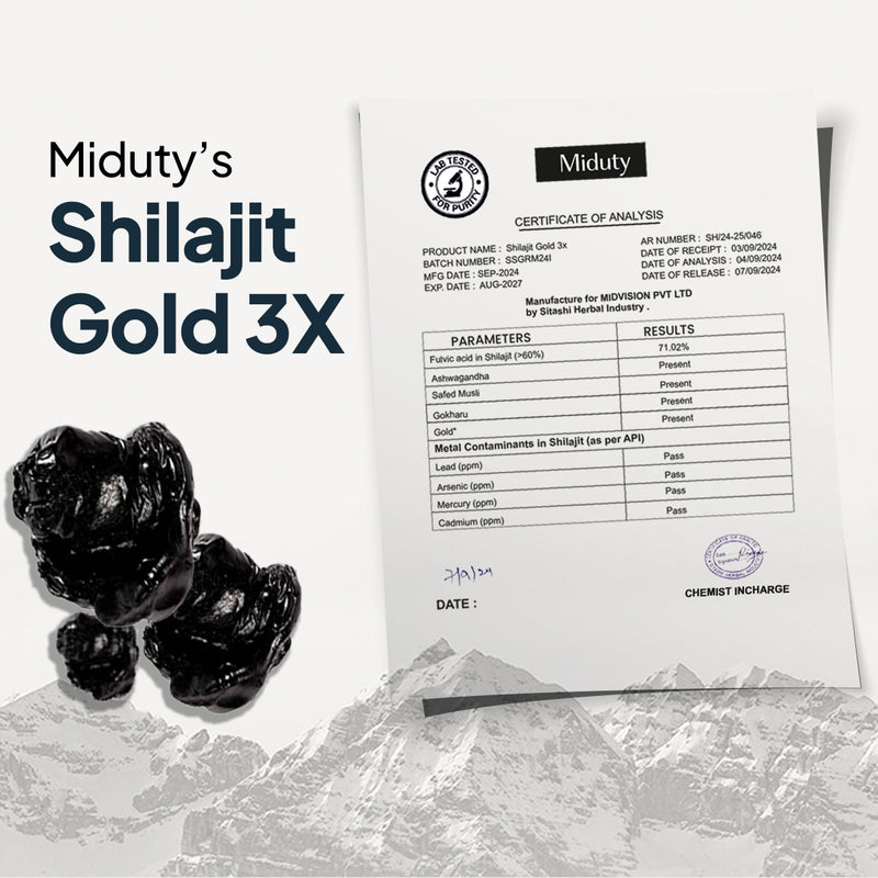 Best Shilajit for Men