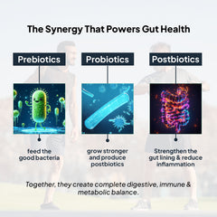 Power of Prebiotics + Probiotics + Postbiotics in Miduty PROBIOTICS+ Supplement for Adults-main