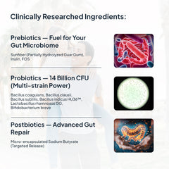 Ingredients in Miduty PROBIOTICS+ Supplement for Adults-main